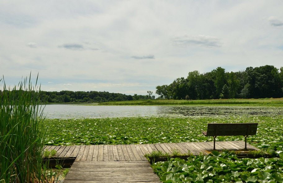 Moraine Hills State Park, Illinois, USA